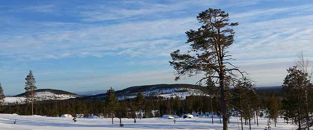 Lapland travel activities - summer and winter