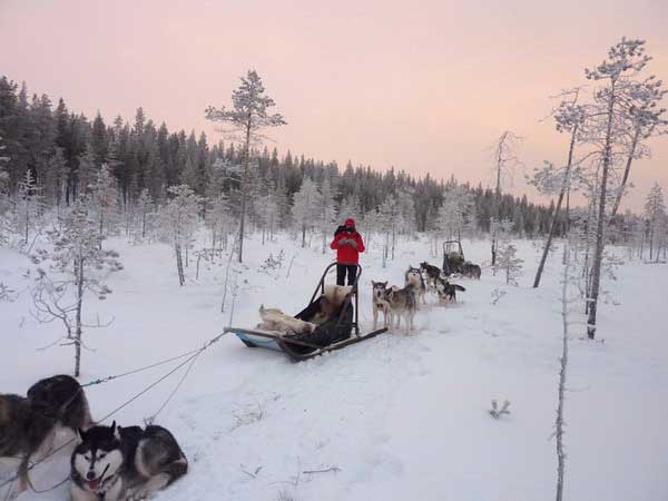 Un arrêt photo pour admirer le paysage et l'équipage des chiens de traîneau en repos