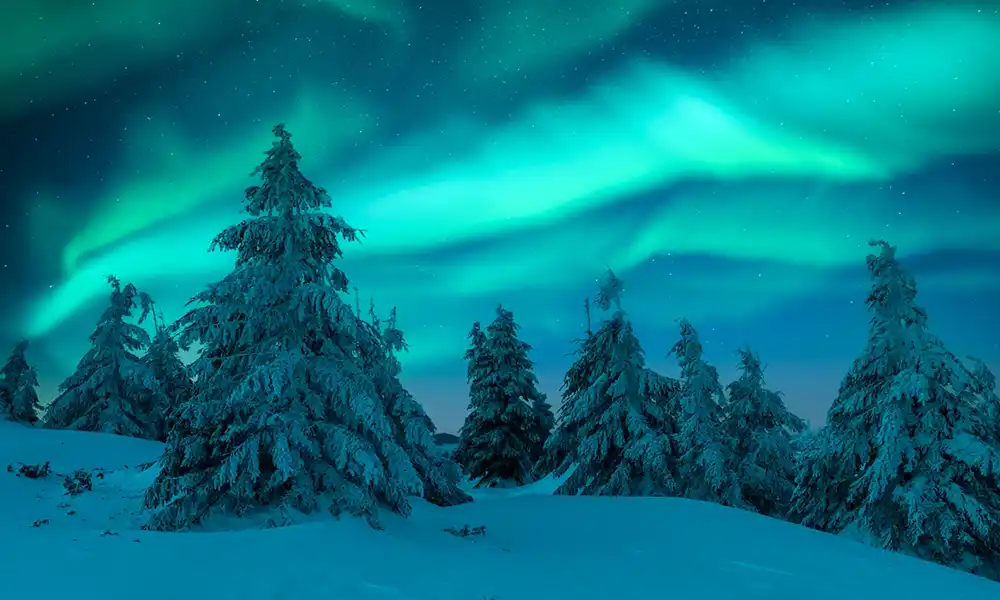 Northern Lights