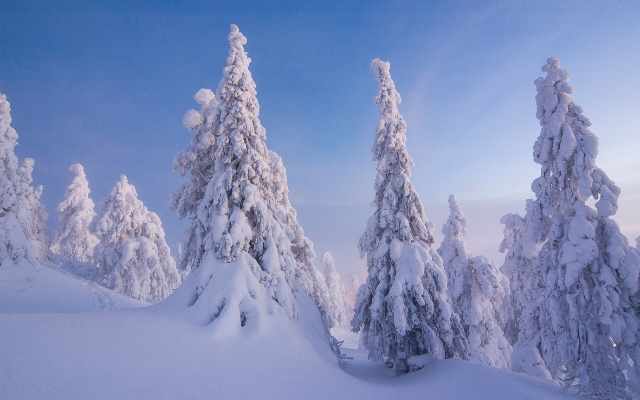 Lapland's winter and summer temperatures and climate