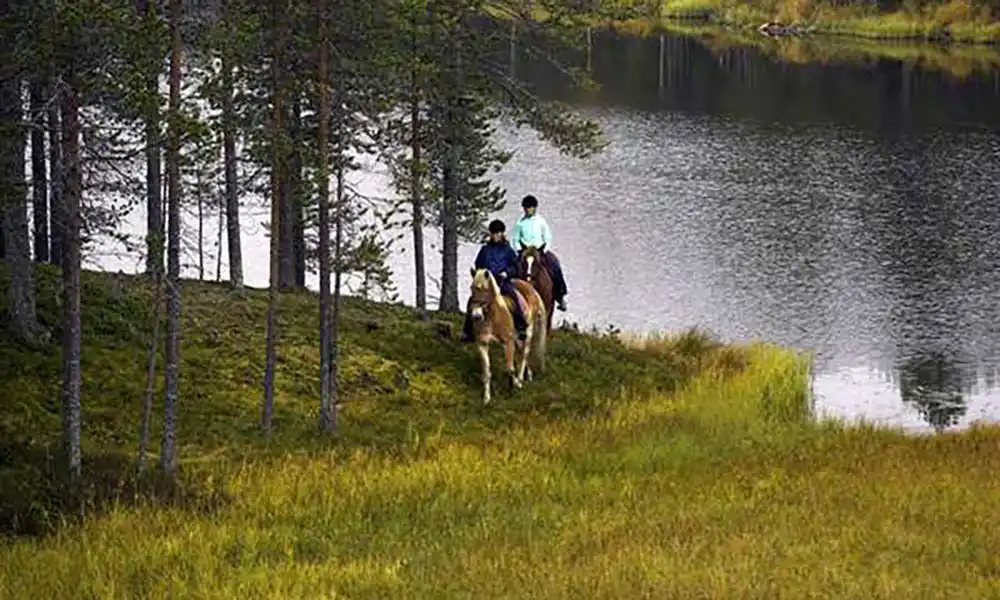 Horseback riding