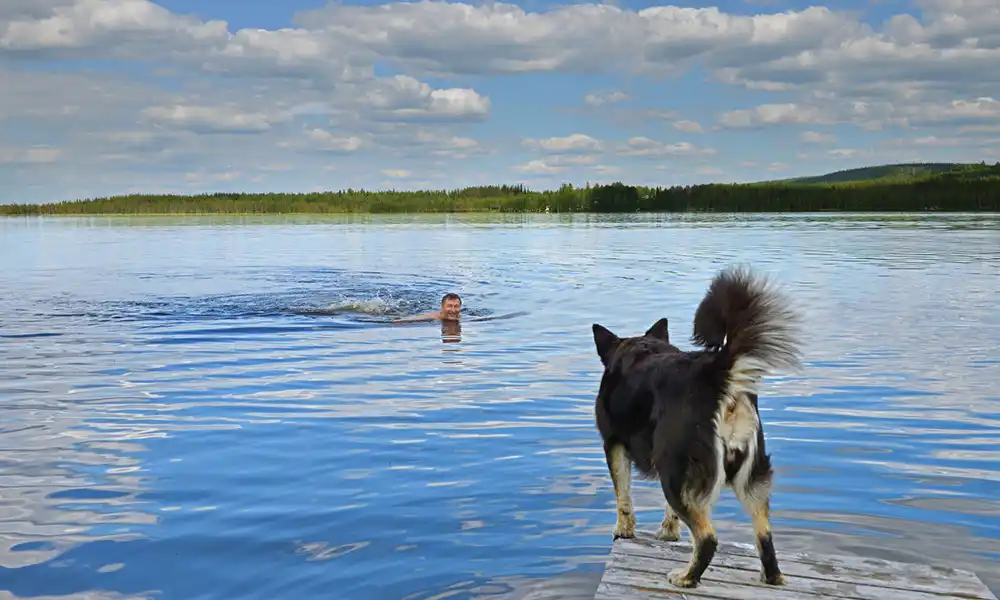 Swim in the pure waters of the lakes