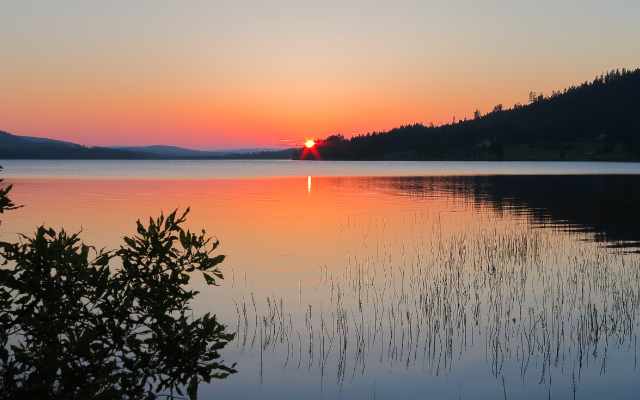 Polar night and midnight sun