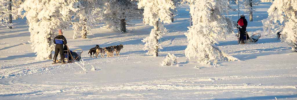 Exemples de séjours en Laponie pour inspirer l'organisation de votre voyage en Laponie finlandaise