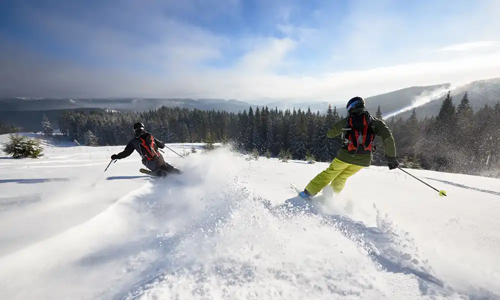 Alpine skiing